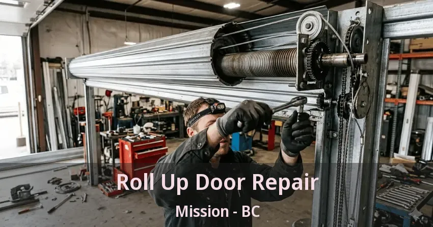 Roll Up Door Repair Mission - BC Roll Up Door Repair Mission - BC